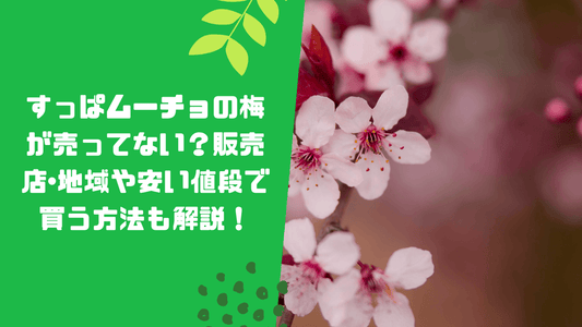すっぱムーチョの梅が売ってない？販売店･地域や安い値段で買う方法も解説！