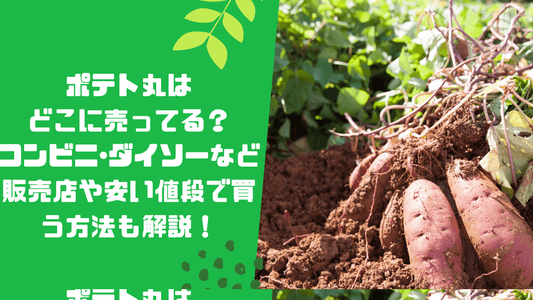 ポテト丸はどこに売ってる？コンビニ･ダイソーなど販売店や安い値段で買う方法も解説！