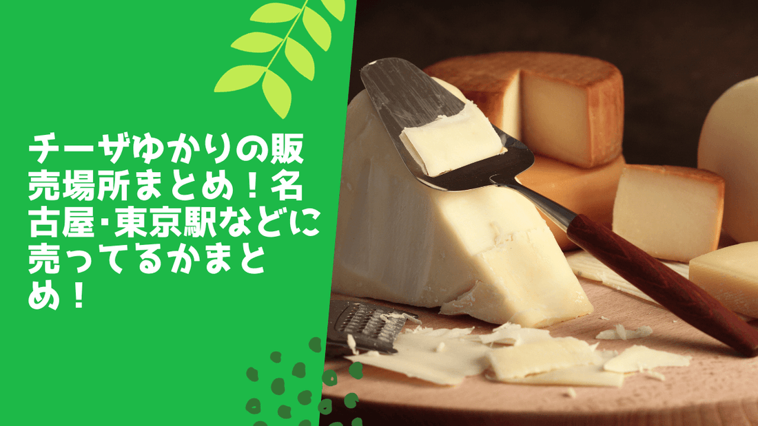 チーザゆかりの販売場所まとめ！名古屋･東京駅などに売ってるかまとめ！