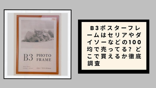 B3ポスターフレームはセリアやダイソーなどの100均
