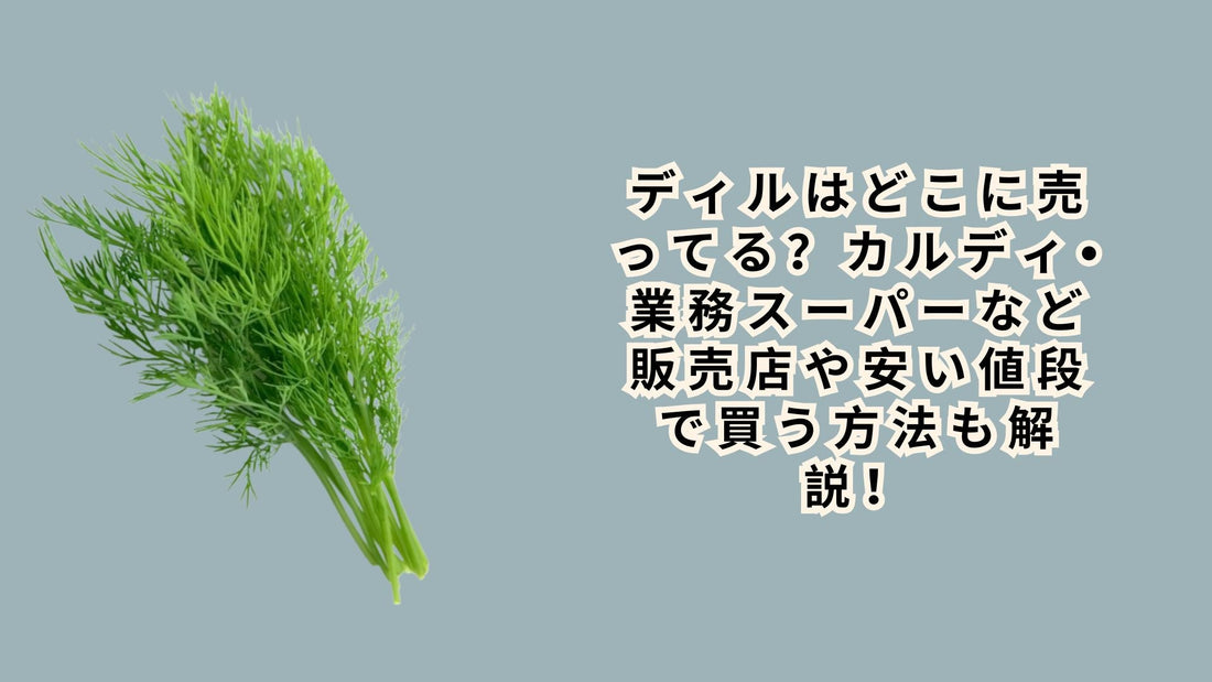 ディルはどこに売ってる？