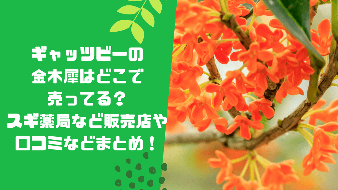 ギャッツビーの金木犀はどこで売ってる？スギ薬局など販売店や口コミなどまとめ！