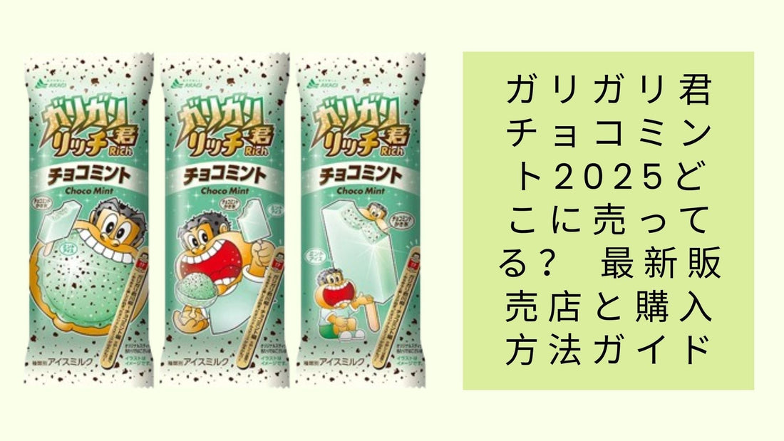 ガリガリ君チョコミント2025どこに売ってる？